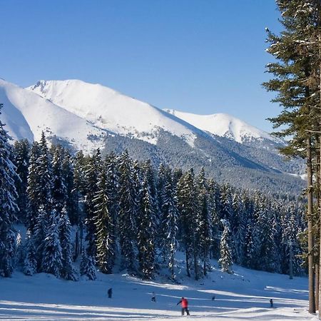 Skiing, Walking, Enjoying In Mountains バンスコ エクステリア 写真