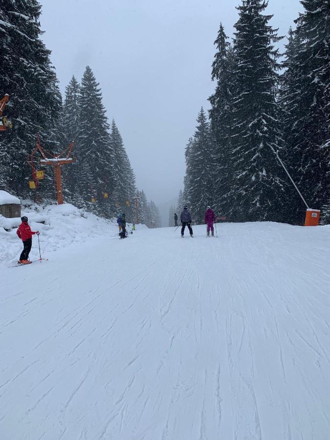 Skiing, Walking, Enjoying In Mountains バンスコ エクステリア 写真