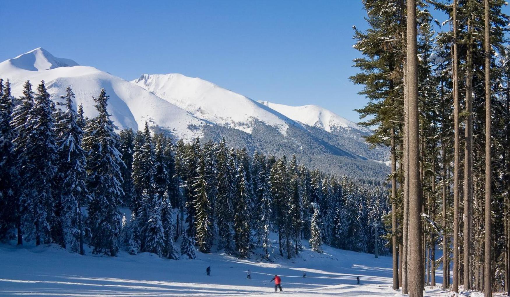 Skiing, Walking, Enjoying In Mountains バンスコ エクステリア 写真