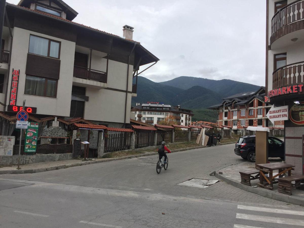 Skiing, Walking, Enjoying In Mountains バンスコ エクステリア 写真